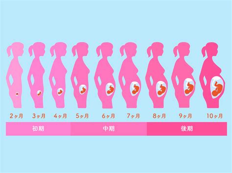 妊娠初期 ムラムラする|妊娠初期（妊娠成立～15週）の症状と過ごし方、気を。